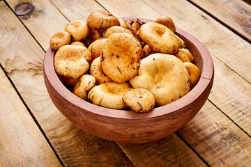 delicious fresh lactarius mushrooms straight from the forest in a brown bowl on an old wooden table