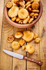 delicious fresh lactarius mushrooms straight from the forest in a brown bowl and a knife on an old wooden table