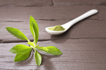 Natural sweetener in powder from stevia plant - Stevia rebaudiana. Top view