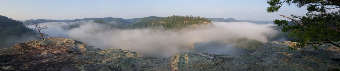 Fototapeta premium Forest River Fog