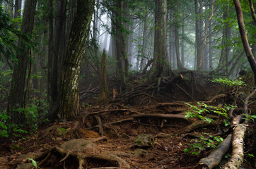 自然と触れ合う