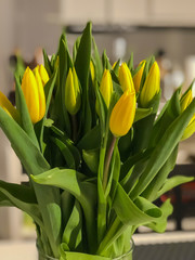 Spring flowers banner - bunch of yellow tulip flowers. 