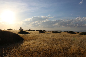 Fototapeta premium Landscape, field, island