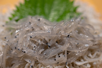 海鮮丼のシラス丼