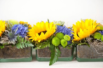  blue hydrangea and yelllow sunflowers in a colorful wedding arrangement 