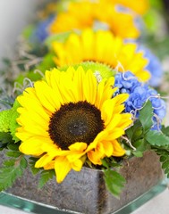 Obraz premium blue hydrangea and yelllow sunflowers in a colorful wedding arrangement 