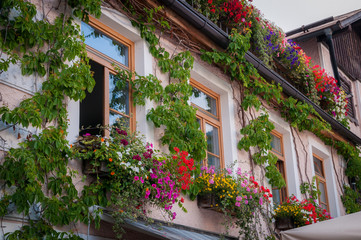 Fototapeta na wymiar San Candido: finestre decorate con fiori