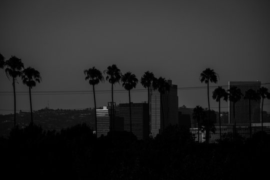 Black and white landscape with skyscrapers