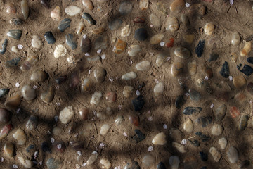 Stone pavement strewn with Sakura petals.
