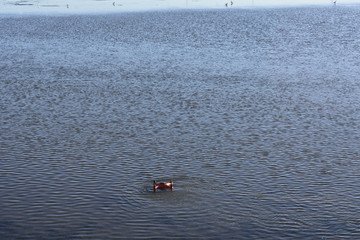 Waterproof Splash  Drone