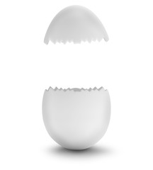 white open egg 3d-illustration