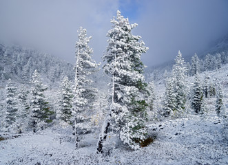 Autumn in mountains Eastern Sayan