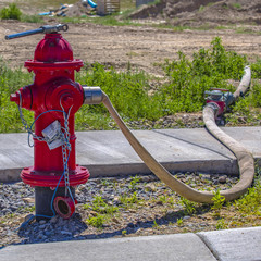 Red fire hydrant with hose connected to outlet