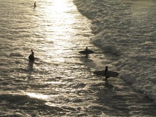 Surf in Australia. Byron Bay.  Australia's surfing coast