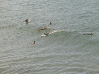 Surf in Australia. Byron Bay.  Australia's surfing coast