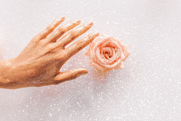 pink rose in women`s hands with gold on petals close up