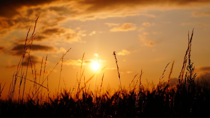 Landwirtschaft und Landschaften in Polen – Agriculture in Poland