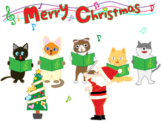 子供と猫たちのクリスマスコンサート