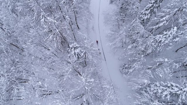 Aerial - Couple ski walking on forest road and one of them using ski sled