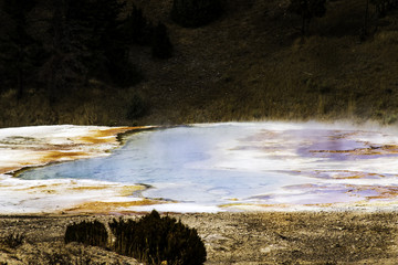 Pallets,Mammoth Hot Springs, Yellowstone, Wyoming, United States of America
