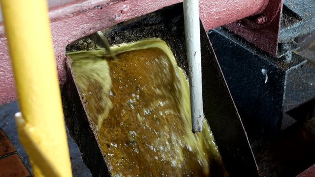 Production of rapeseed oil, output of rapeseed oil from the press to the storage tank, close-up. rape oil