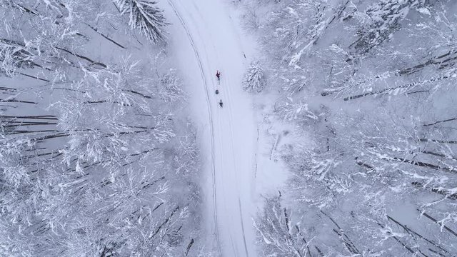 Aerial - Top down moving up shot of two people ski walking on snowy road