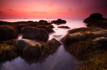 Fototapeta na wymiar Sunset with mossy rocks at a beach in Kudat, Sabah, Borneo, East malaysia