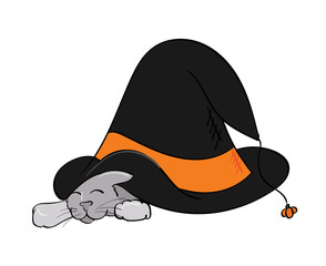 Grey kitten under a floppy witch hat