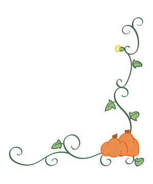 Pumpkin and Squash vines with a squash blossom, bottom corner border