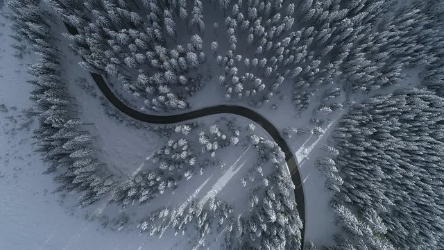 Aerial - Top down view of winding road between snow-capped fir trees