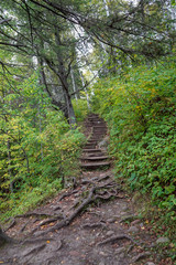 Obraz premium Rugged hiking trail in the deep woods at Jay Cooke State Park in Minnesota