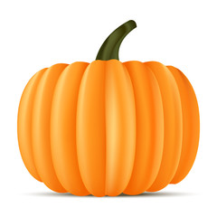 Obraz premium Realistic pumpkin for Halloween. Vector