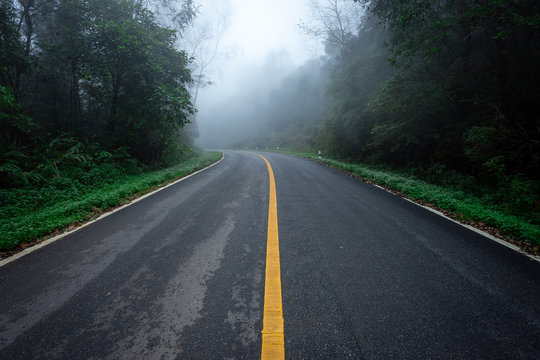 Road in with nature forest and foggy road  of Rain forest.