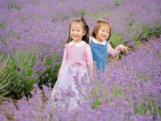 Two little babies in a lavender field playing together, beautiful young girl with lovely braid.