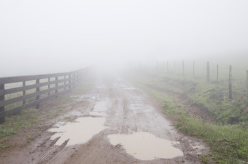 road in the fog
