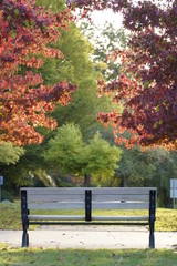 bench in autumn