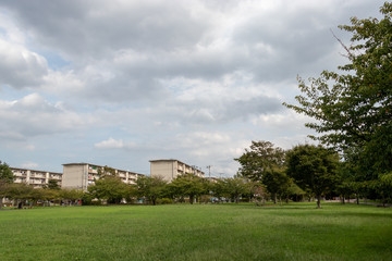 Fototapeta na wymiar Park in the Sodegaura Complex in Narashino City, Chiba Prefecture, Japan