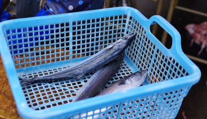 市場の新鮮な魚