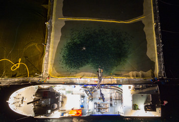 Wellboat in loading process at night