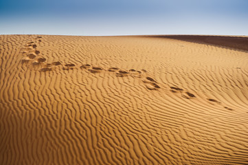 Desert of Middle East, sandy dunes and blue sky.