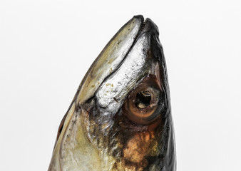 Fischkopf im Detail