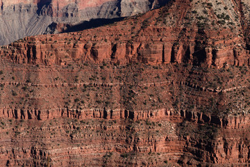 Red Stones of Grand Canyon South Rim  