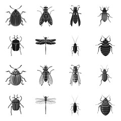 Isolated object of insect and fly logo. Set of insect and element vector icon for stock.