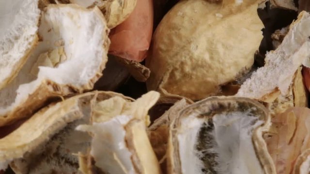 Bucce di noccioline americane