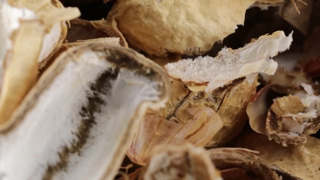 Bucce di noccioline americane