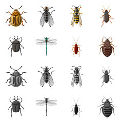 Vector illustration of insect and fly symbol. Set of insect and element stock vector illustration.