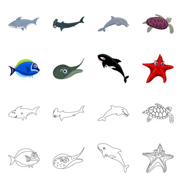 Vector illustration of sea and animal sign. Set of sea and marine stock vector illustration.