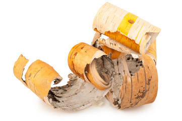 Birch bark on white background