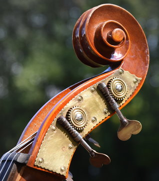 Wirbelkasten eines Violoncellos (Cello) mit Wirbelmechaniken in Seitenansicht