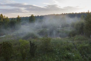 the background image field of grass, with forest in the background and sky with clouds at sunrise and a pond covered with mist early on a summer morning